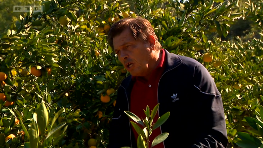 Ljubo poludio na Violetu: Sve si mandarine pojela, glavo luda!