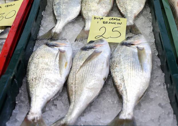 Šibenik: Ponuda ribe u šibenskoj ribarnici