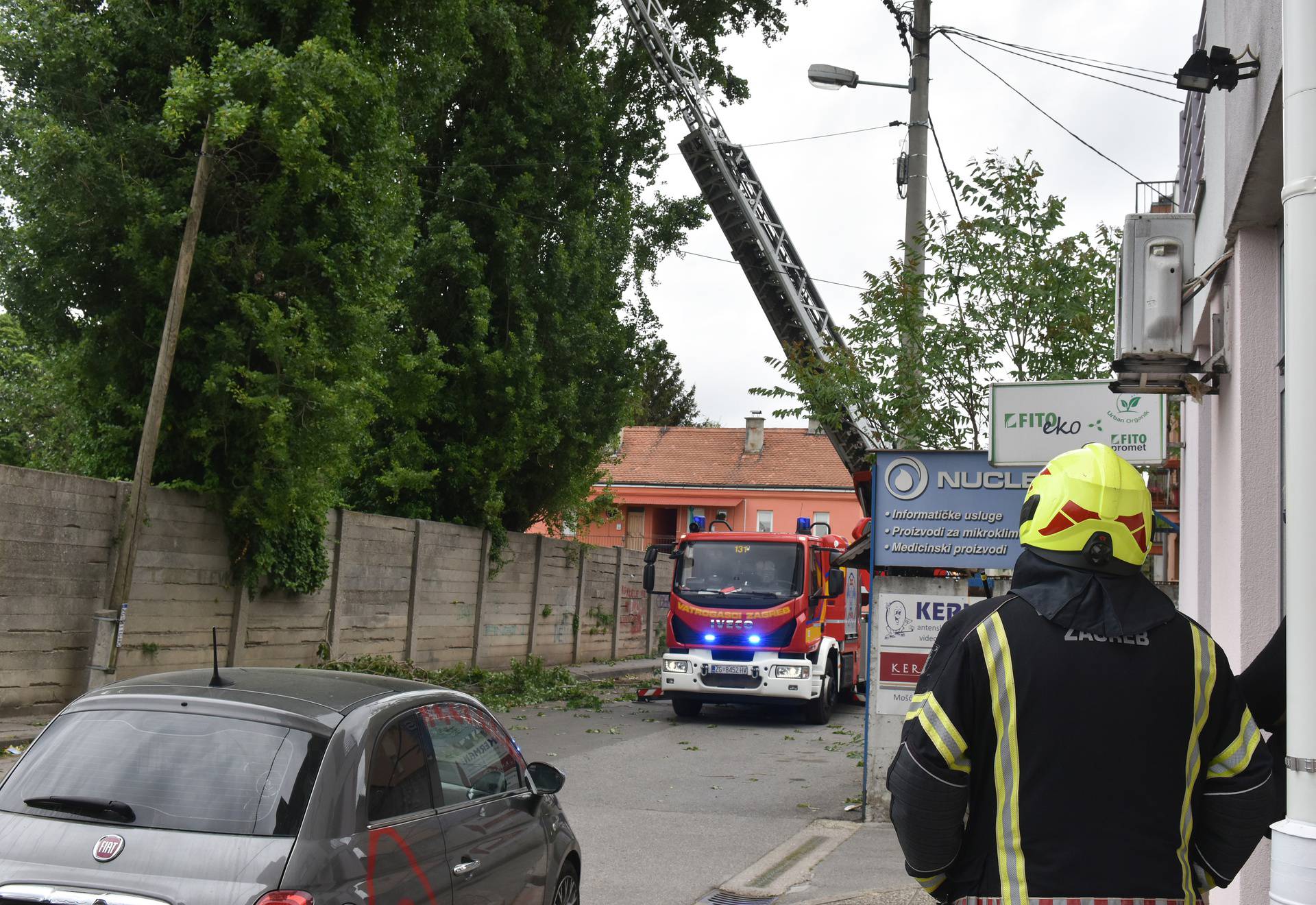 Zagreb: Jak vjetar otrgnuo je nekoliko grana s jablana 