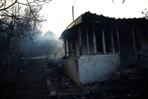 Wildfire in Kryoneri near Athens