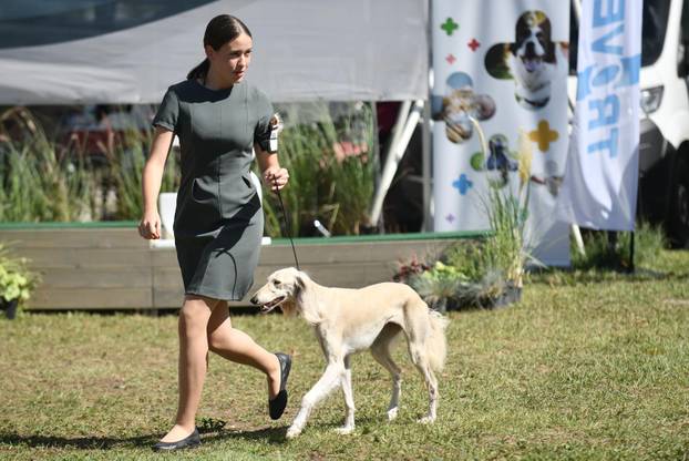 Nacionalna izložba pasa "Velika Gorica Trophy 2025"