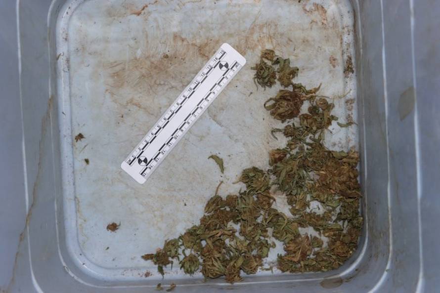 FOTO 'Pao' diler iz Dugog Sela: Umjesto povrća u plasteniku je uzgajao veće količine 'trave'