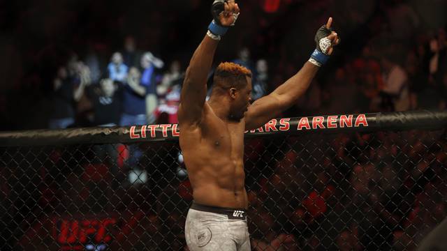 MMA: UFC 218-Overeem vs Ngannou