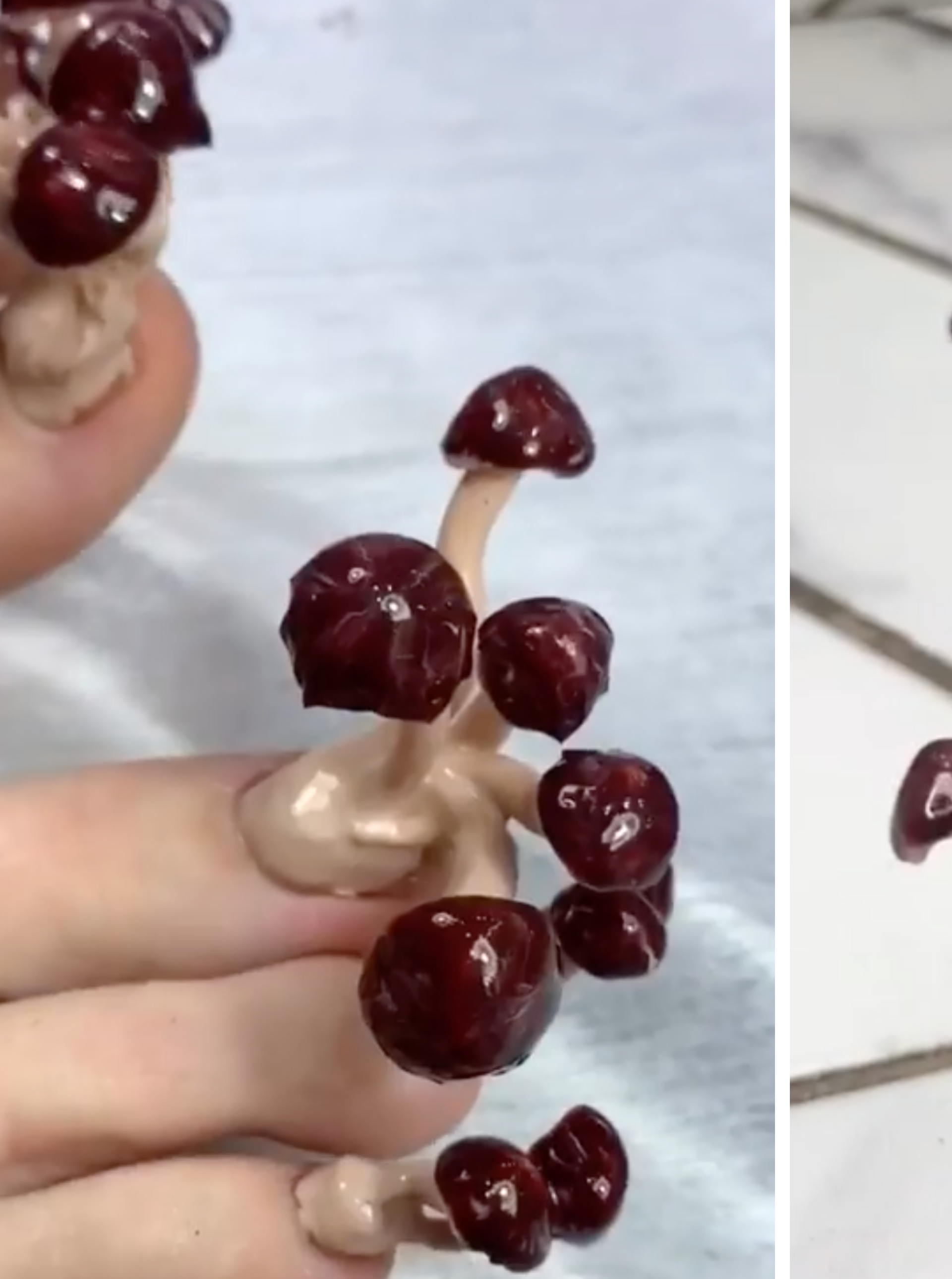 Novi bizarni hit: Na noktima im 'rastu' gljive i skupo ih plaćaju