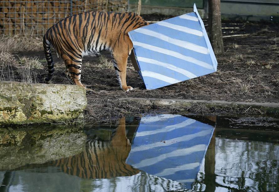 REUTERS