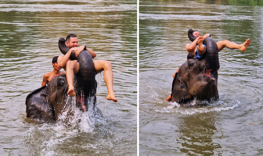 Prijatelji životinja oštro osudili Borisa Rogoznicu: 'Potezao je slona za surlu zbog fotografije'