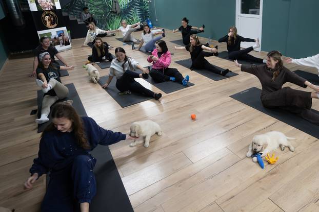 24SATA Paw Yoga, inovativni koncept joge koji je stigao u Hrvatsku