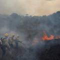 Amazonija gori: 15 godina nisu imali dan s toliko puno požara