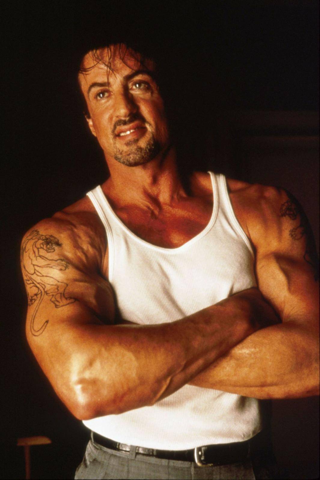 stallone