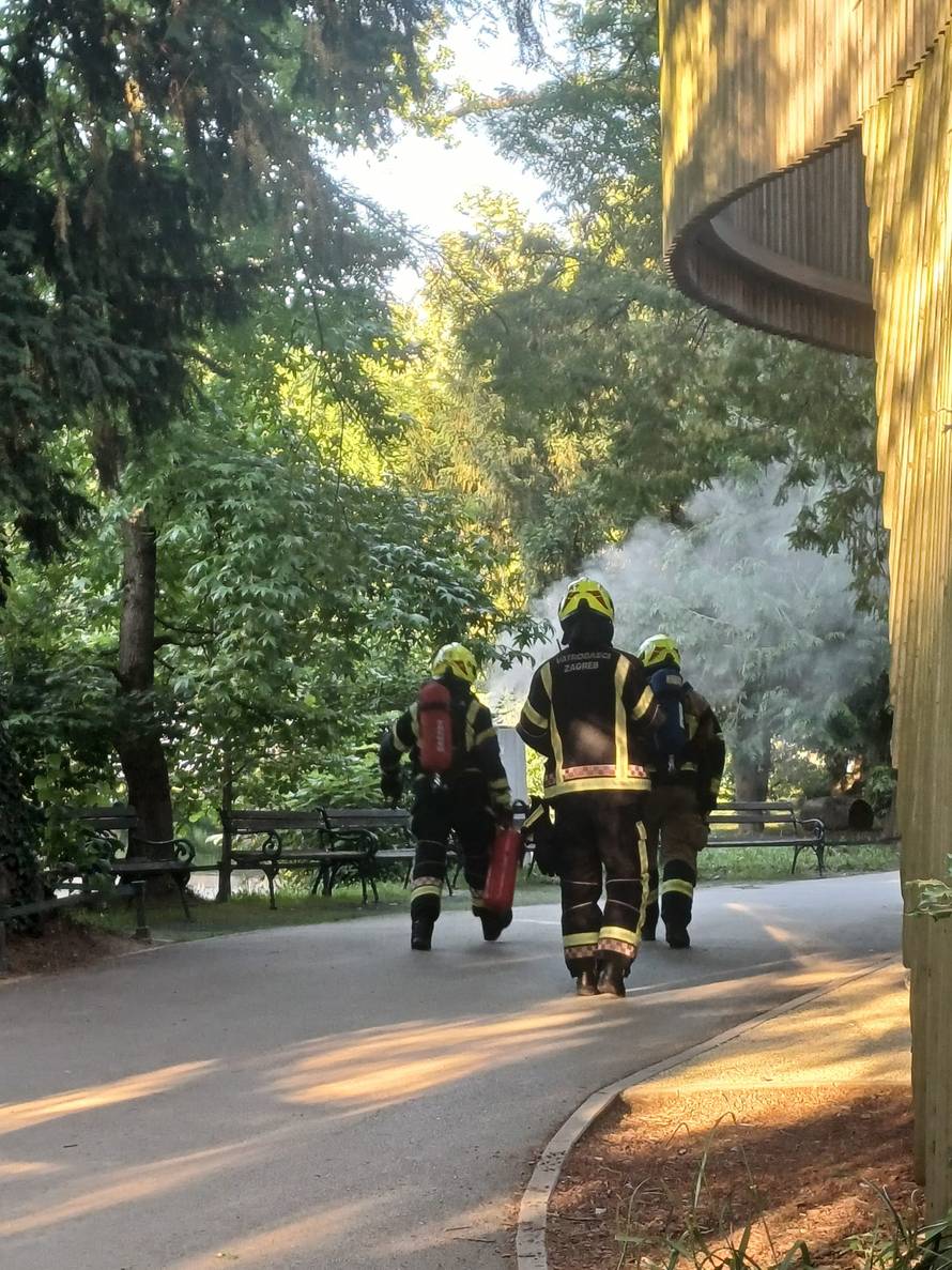 VIDEO Planula trafostanica na ulazu u Zagrebački ZOO! Odmah na teren dojurili vatrogasci...
