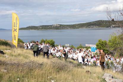 FOTO Više od tristo volontera sudjelovalo u pošumljavanju Grebaštice kod Šibenika