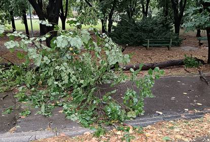 FOTO Snažna oluja poharala je Beograd, rušila stabla i stvarala vodopade: 'To je nova realnost'