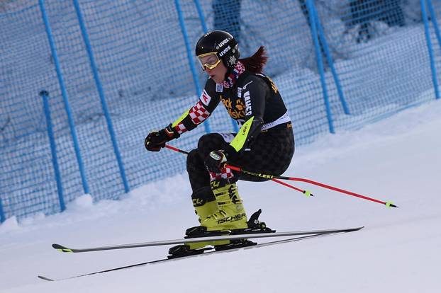 Ski SKY World Cup -  Parallel Giant Slalom Women