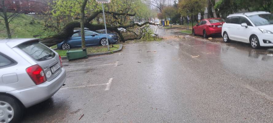 Evo koliko su vatrogasci imali intervencija zbog oluje