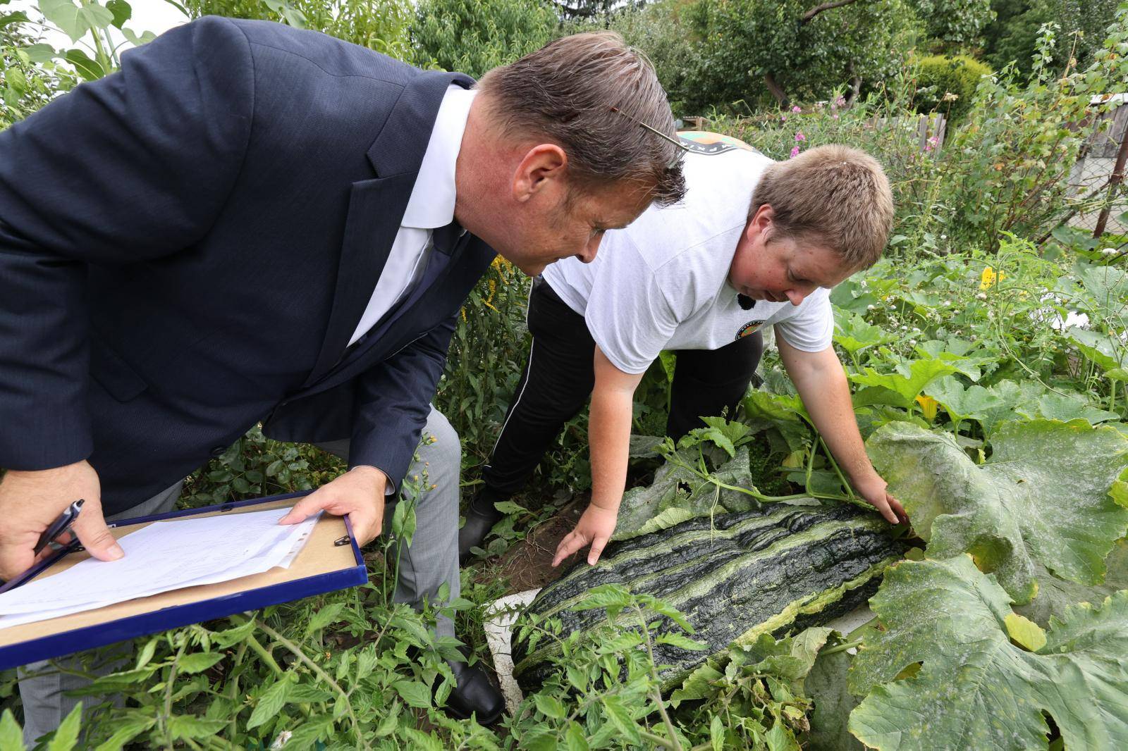 On record hunt with XXL vegetables