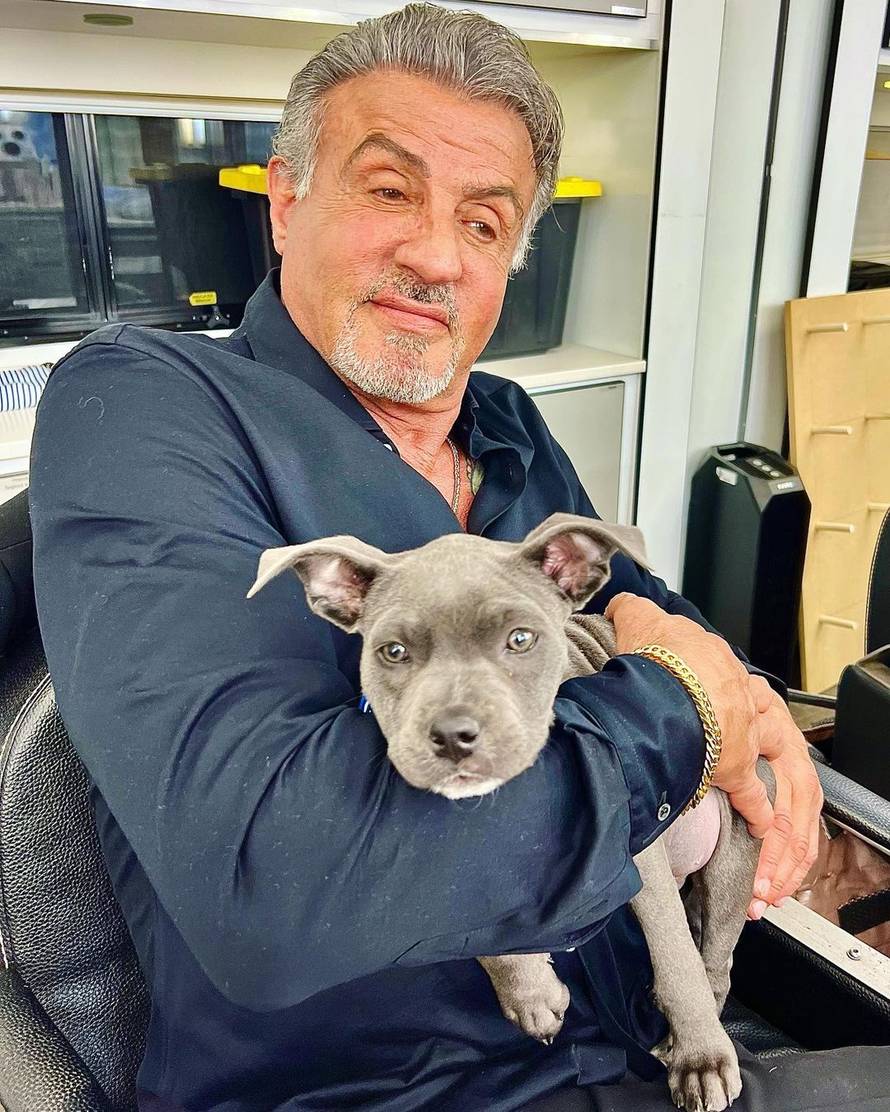 Stallone objavio video iz teretane, nitko mu ne bi dao 79 godina: 'Krv, znoj i suze...'