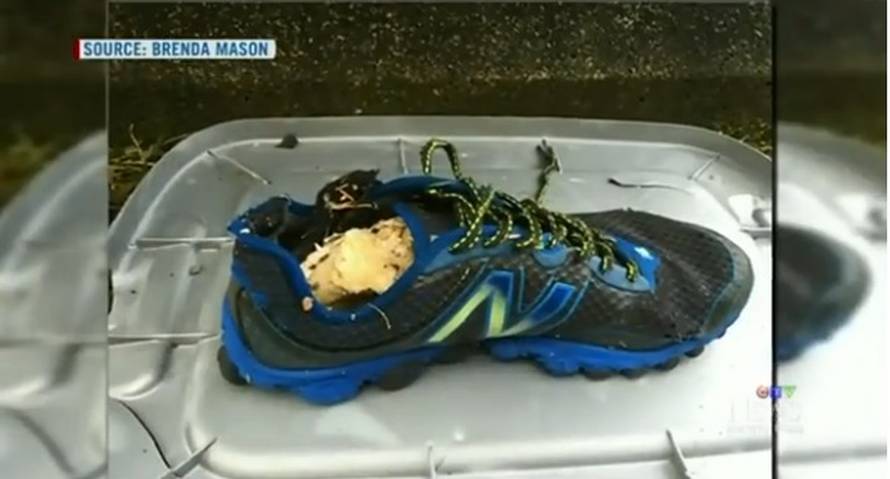 Ocean je izbacio 16 stopala: Kome pripadaju je misterij