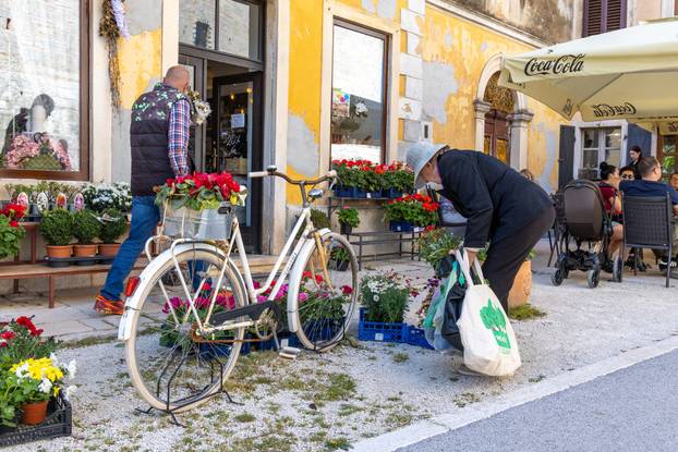 Svetivinčenat: Fešta od Rožic