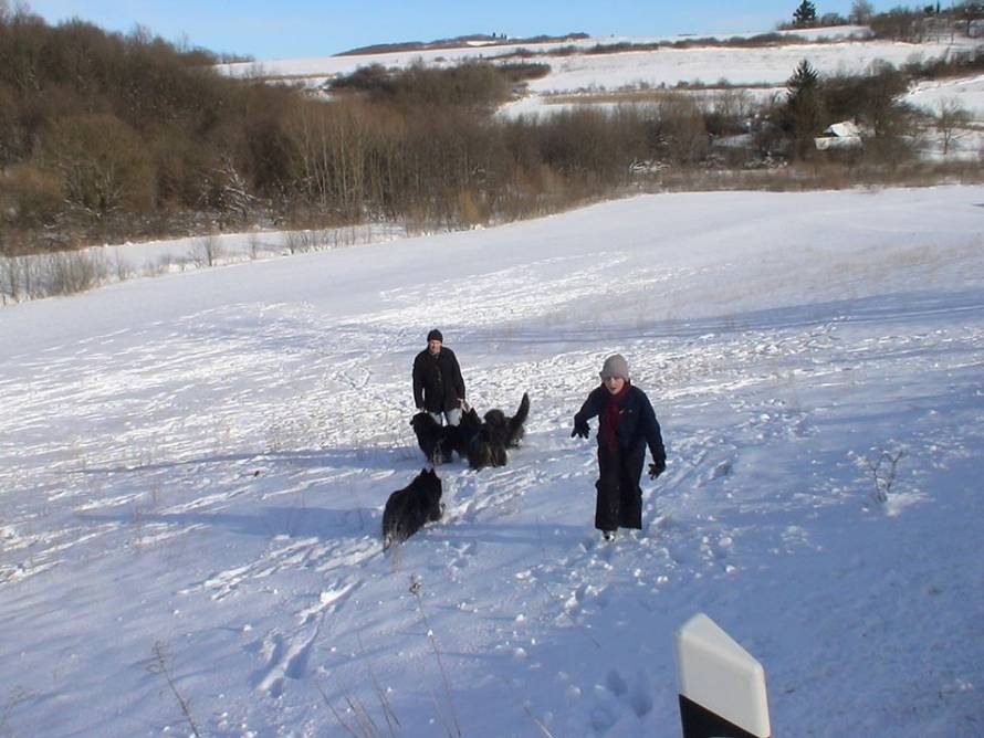 Uzgajivačnica CRO Matic