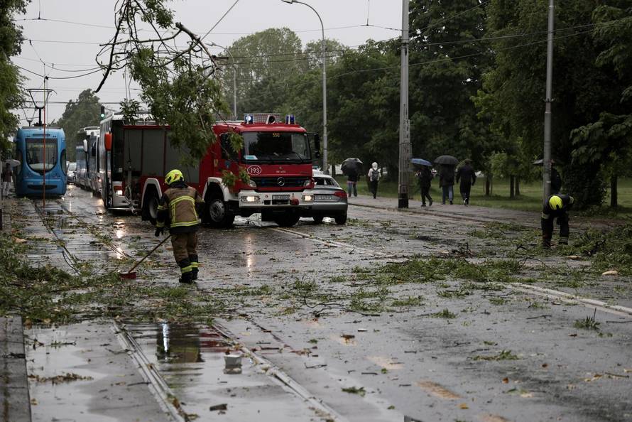 Zagreb: Palo stablo na Maksimirskoj, blokiran promet, vatrogasci na terenu
