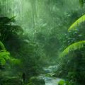 Kišne šume održavaju stabilnu klimu, ključno je da ih zaštitimo