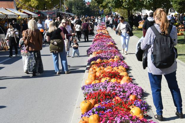 Ivanić Grad: Gastro manifestacija 'Bučijada u centru Ivanić Grada'