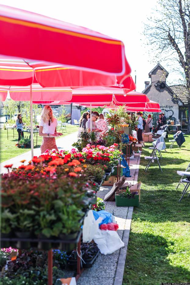 Zagreb: Izložba biljaka Plant market