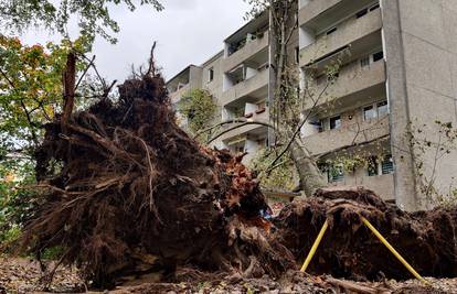 Oluja Ignatz u Njemačkoj: Orkanski vjetar ruši stabla