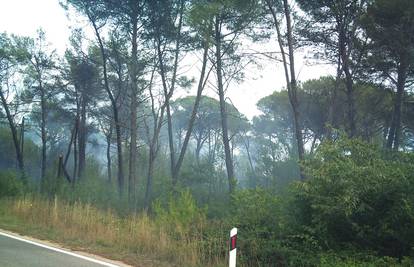 Zemunik: Vatrogasci su ugasili požar na miniranom području