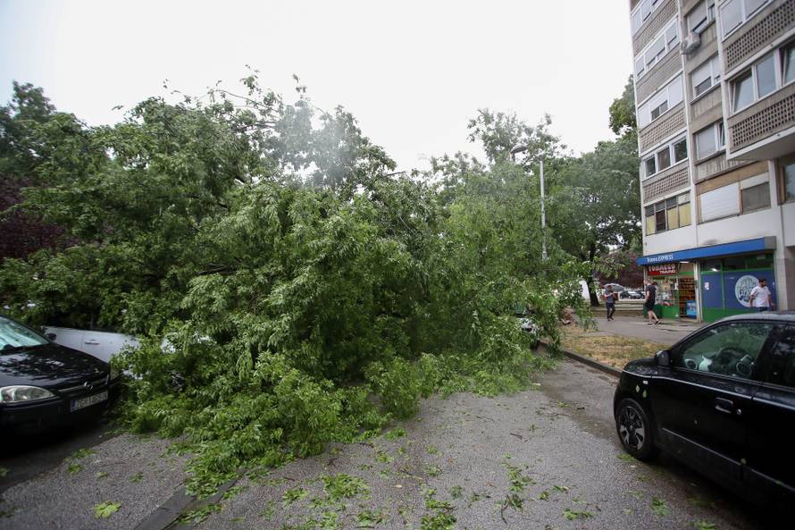 Zagreb: Na četiri automobila srušilo se stablo tijekom nevremena