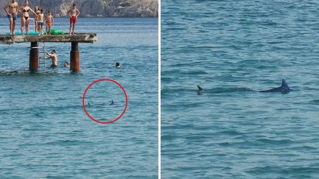 VIDEO Panika zbog peraje na Krku: 'Svi smo bježali na obalu'