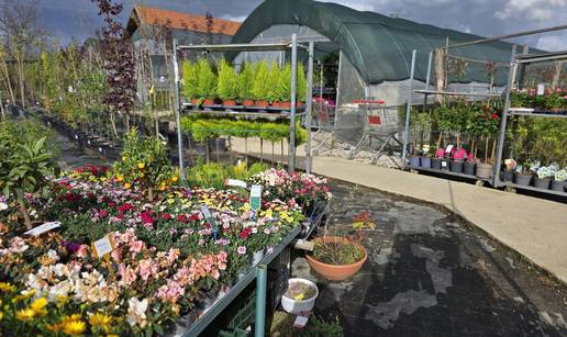 Ne tra&zcaron;ite dalje: Idealne sadnice za va&scaron; vrt &ccaron;ekaju vas kraj Zagreba