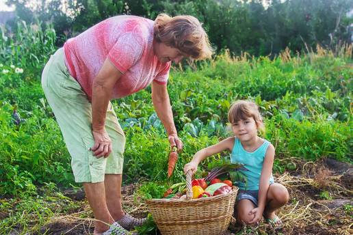 Male ozljede su &ccaron;este u prolje&cacute;e: Evo kako pravilno o&ccaron;istiti i za&scaron;tititi ranu