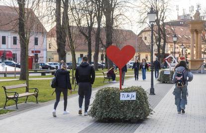 U Vinkovcima na licitaciji prodali 28 parcela za mlade obitelji: 'Da zasnuju svoj dom...'