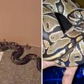 Drama u Zagrebu: Pogledajte kakva je zmijurina zbrisala vlasniku! Pokupio ju prolaznik