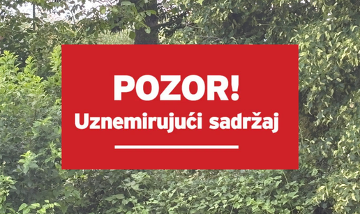 FOTO Uznemiruju&cacute;i prizori iz Vani&cacute;a: Prona&dstrok;eni le&scaron;evi pasa i te&scaron;ko izgladnjele &zcaron;ivotinje
