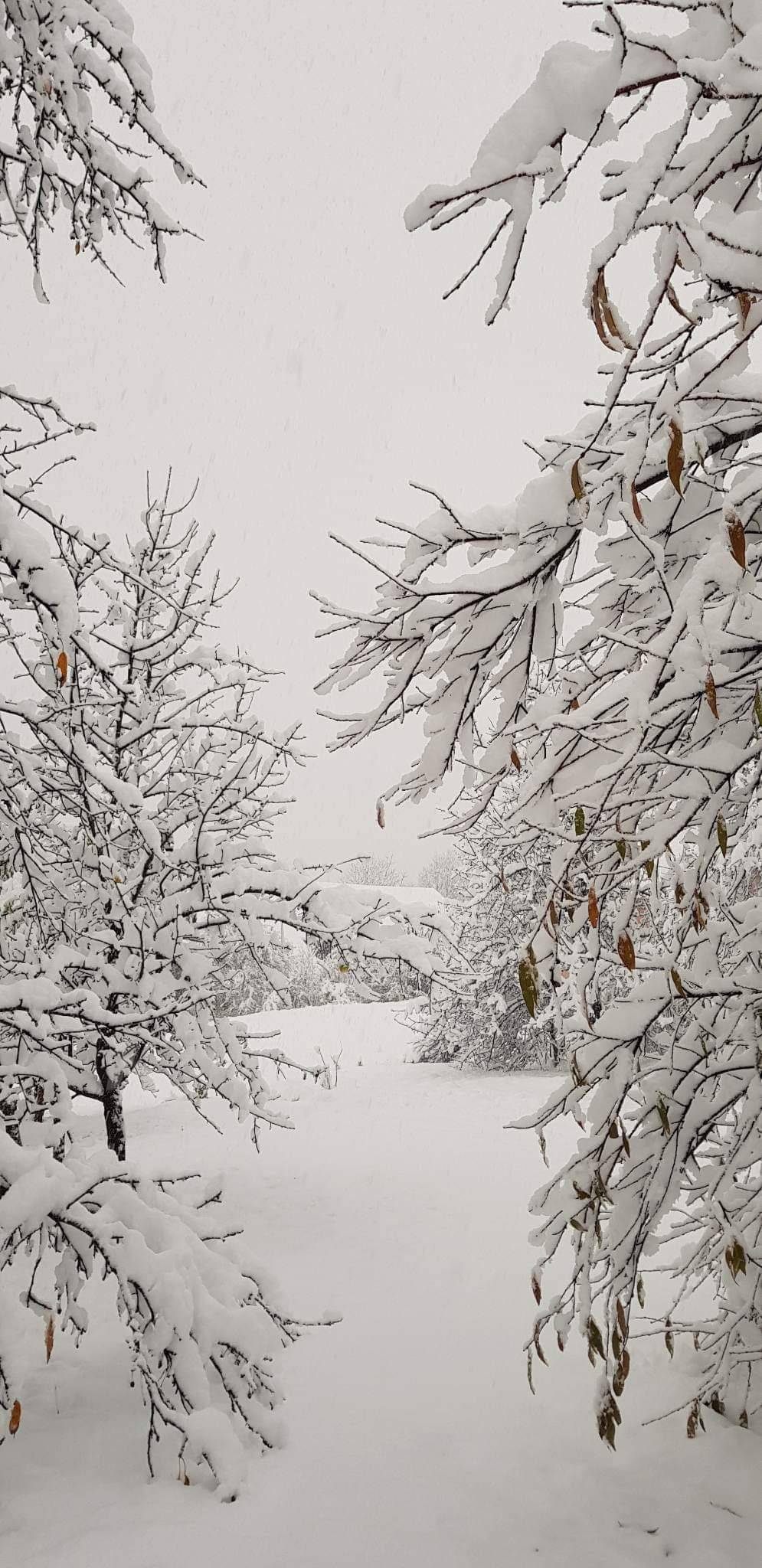 VIDEO Prve pahulje: Snježna idila diljem Gorskog kotara, Mrkopalj prekriven snijegom