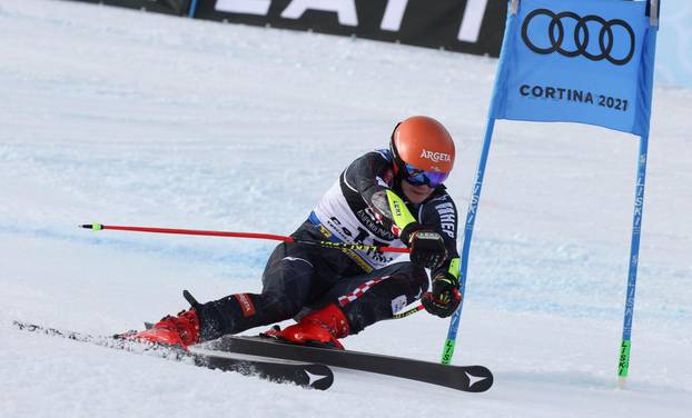 alpine ski race - 2021 FIS Alpine World SKI Championships - Parallel Giant Slalom - Men