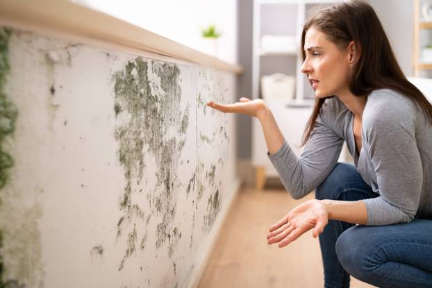 Side,View,Of,A,Shocked,Young,Woman,Looking,At,Mold