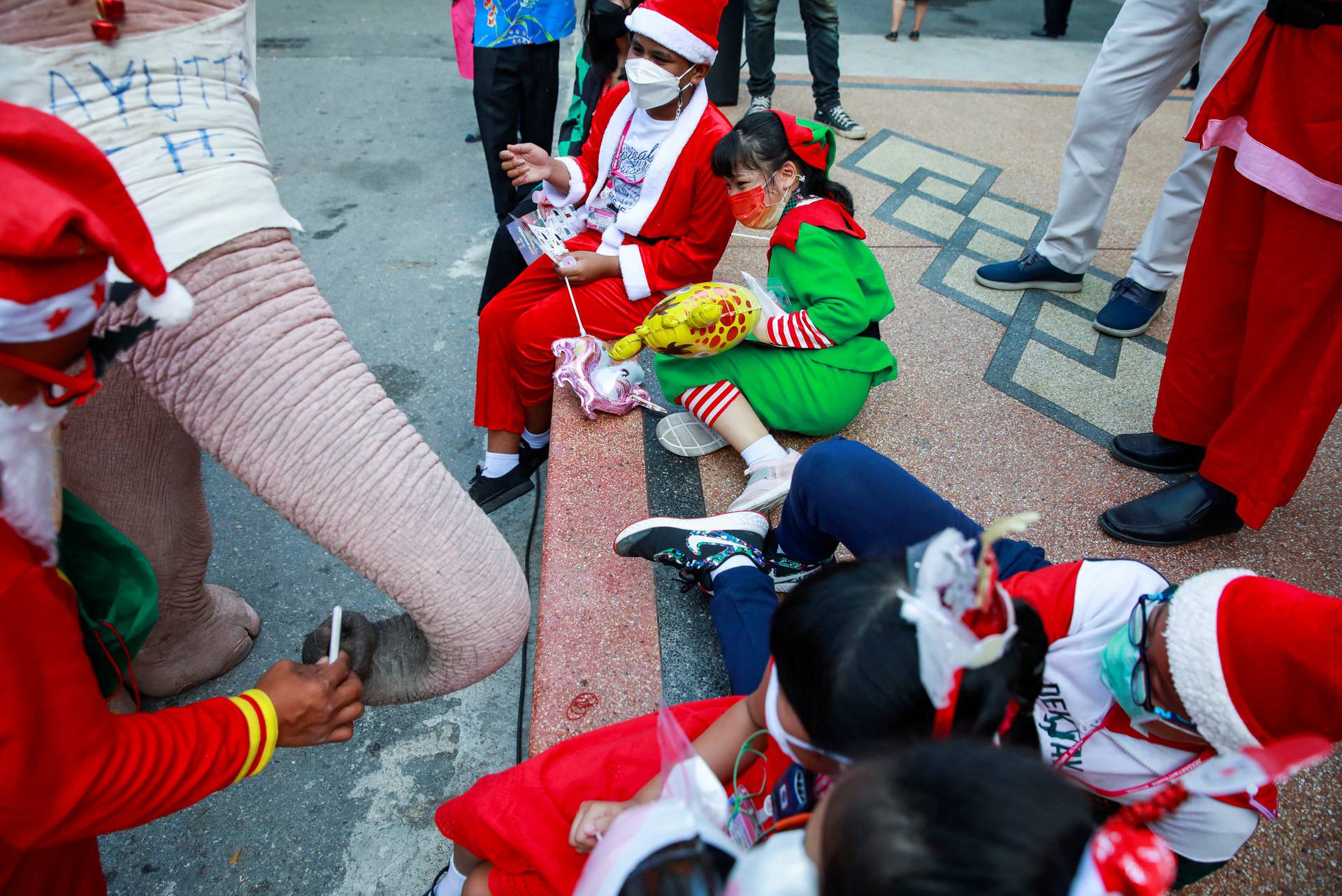 Elephants in Santa Claus costumes vist to a school