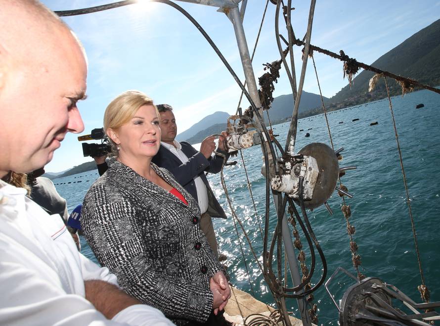 'Pelješki most bit će izgrađen najkasnije do 2023. godine...'