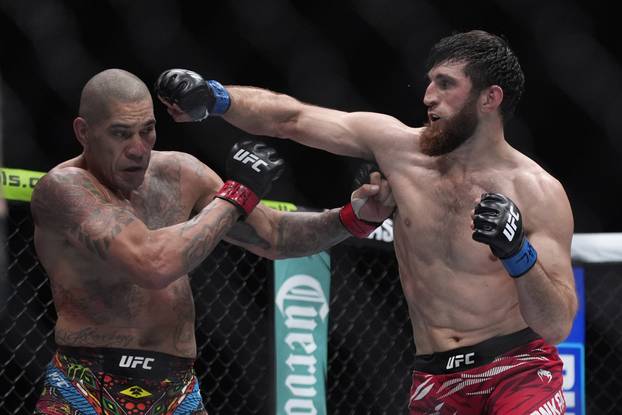 UFC 313 Mixed Martial Arts