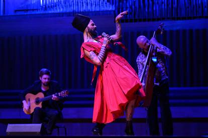 Zagreb: Božo Vrećo održao koncert u popunjenoj dvorani Lisinski