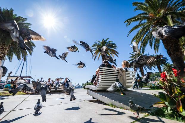 Sunčan dan u Splitu 