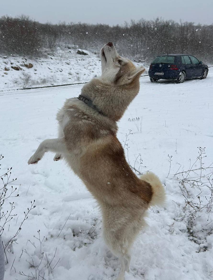 Općinska komunalka sama 'izlopatala' snijeg sa staze: 'Nema nikakve drame u tome'