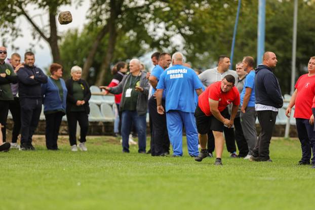 51. Olimpijada starih sportova u Brođancima