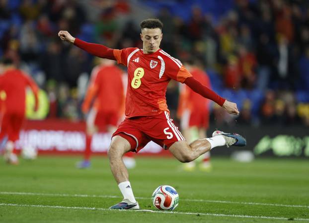 FIFA World Cup - UEFA Qualifiers - Semi Final - Wales v Bosnia and Herzegovina