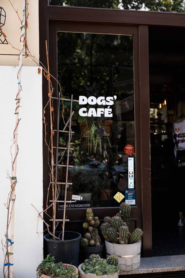 FOTO Ako vas ovi prizori danas ne raznježe, ništa neće: Psi i vlasnici uživali u Dogs' Caffeu