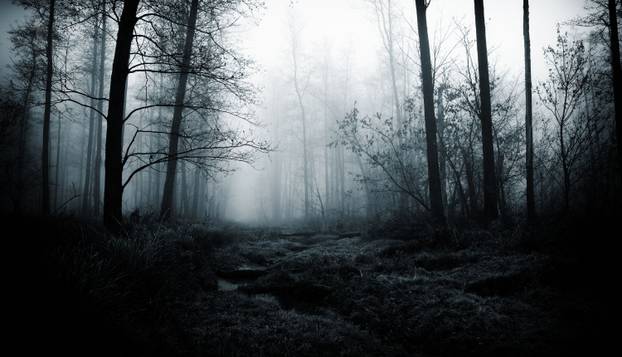 FOTO Djecu je prestravilo ono što su vidjela u šumi:  'Čudovište je bilo ogromno, bježali smo...'