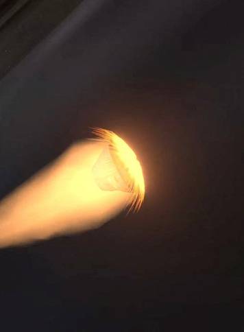 Artemis II crew returns to Earth